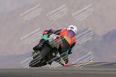 media/Nov-12-2023-SoCal Trackdays (Sun) [[5d1fba4e7d]]/Turn 9 Backside (1015am)/